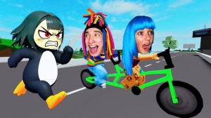 КИТАЙКУ ПРЕСЛЕДУЕТ ГУГУГАГА ПИНГВИН В БРУКХЕЙВЕН!