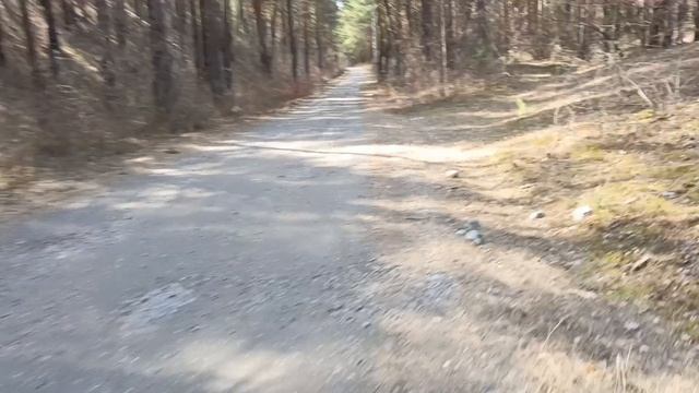 Влог // Поездка По Посёлку В Сторону Кладбища И Обратно