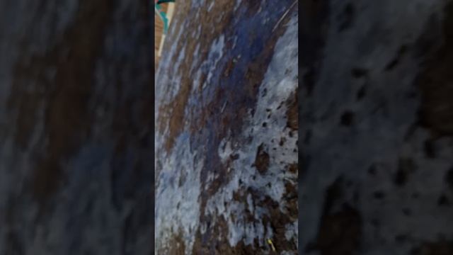 выживаем от Киры| сериал ОПЕРАТОРЫ 4 серия