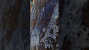 выживаем от Киры| сериал ОПЕРАТОРЫ 4 серия