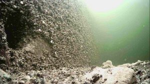 1000015716.mp4Волга гл.5м.20.04.2026г.