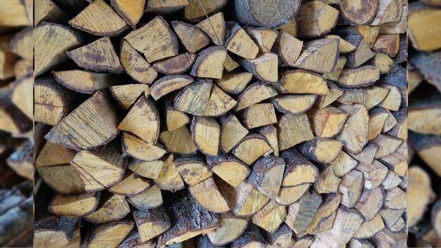 ФОТОДНЕВНИК ЧАСТЬ 18. НАЧАЛО ЭКСКУРСИИ НА ЧАЙНУЮ ПЛАНТАЦИЮ МАЦЕСТА-ЧАЙ. СОЧИ. 24 ноября 2025 ГОДА.