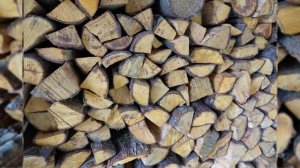 ФОТОДНЕВНИК ЧАСТЬ 18. НАЧАЛО ЭКСКУРСИИ НА ЧАЙНУЮ ПЛАНТАЦИЮ МАЦЕСТА-ЧАЙ. СОЧИ. 24 НОЯБРЯ 2025 ГОДА.