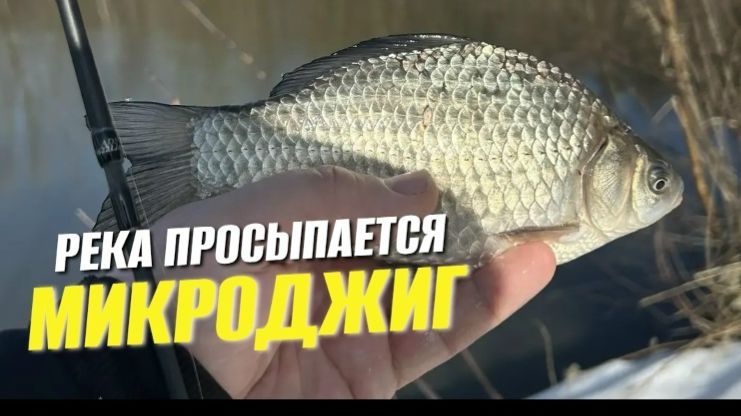 Весенний МИКРОДЖИГ_ вместе с окунем — плотва и карась!