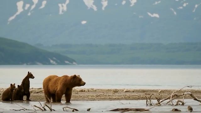 Песня «Единство», приуроченная к Году единства народов России