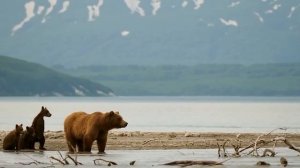 Песня «Единство», приуроченная к Году единства народов России