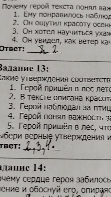 Впр по литературе ничего не сказать
