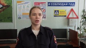 Сводка ГИБДД