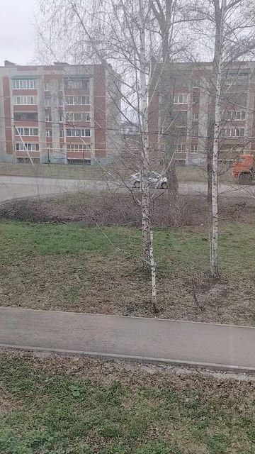 Погода 20.04.2026