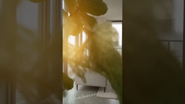 Видео для взрослых. 18+