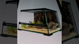 Как ухаживать за эублефаром