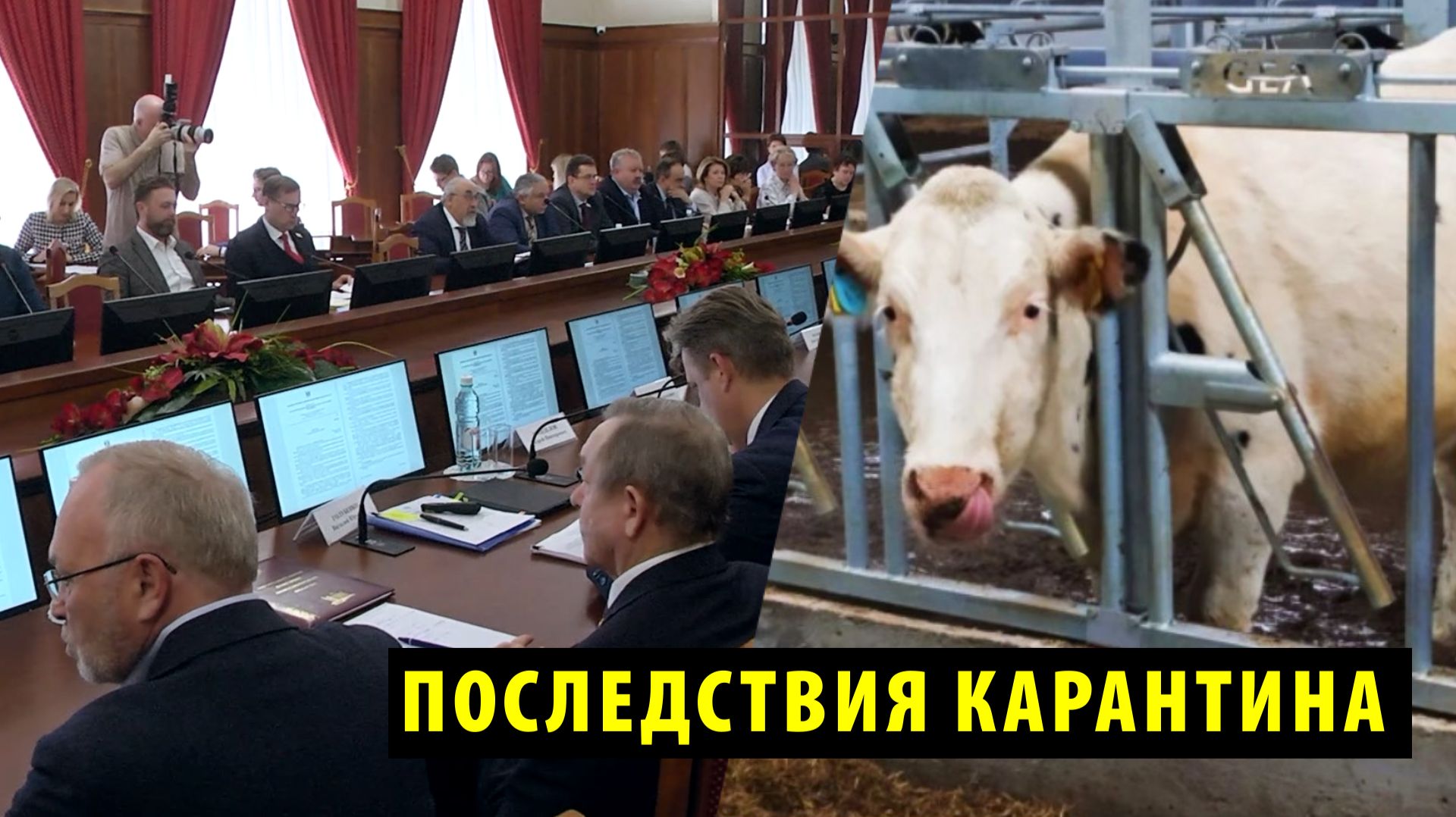 Депутаты Заксобрания НСО обсудили с главой Минсельхоза ветеринарную обстановку