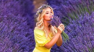 " Лиловые  цветы "