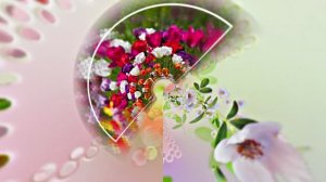 Весна! Очаровательные тюльпаны 2! Киностудия Мудрого Кота Тимофея!