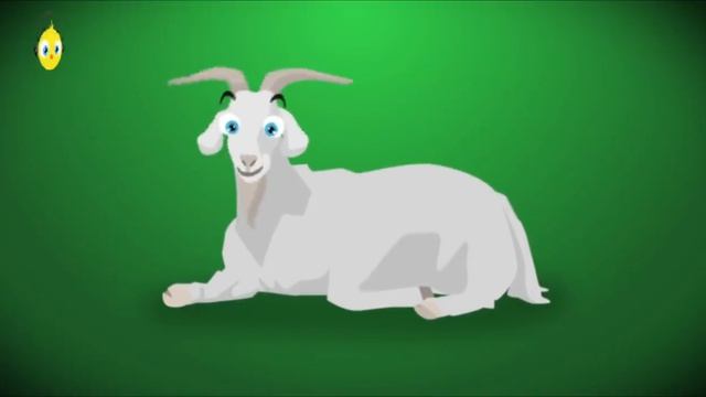 PULCINO PIO - El Pollito Pio (Official Video)