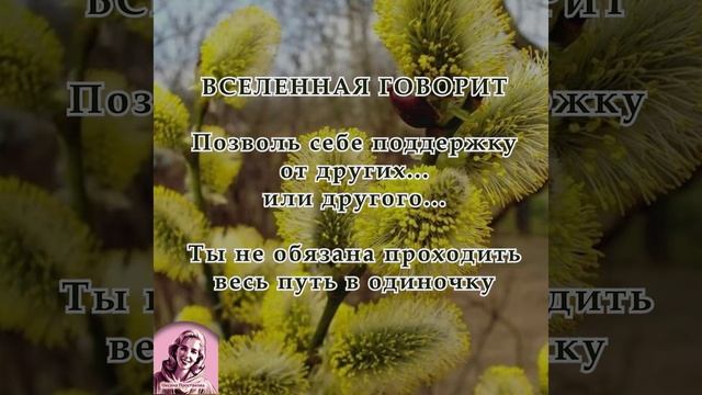 Послание на неделю 20.04.2026-26.04.2026