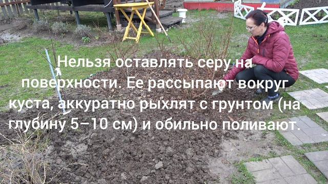 6 соток 17 апреля 2026 года. 2 часть.