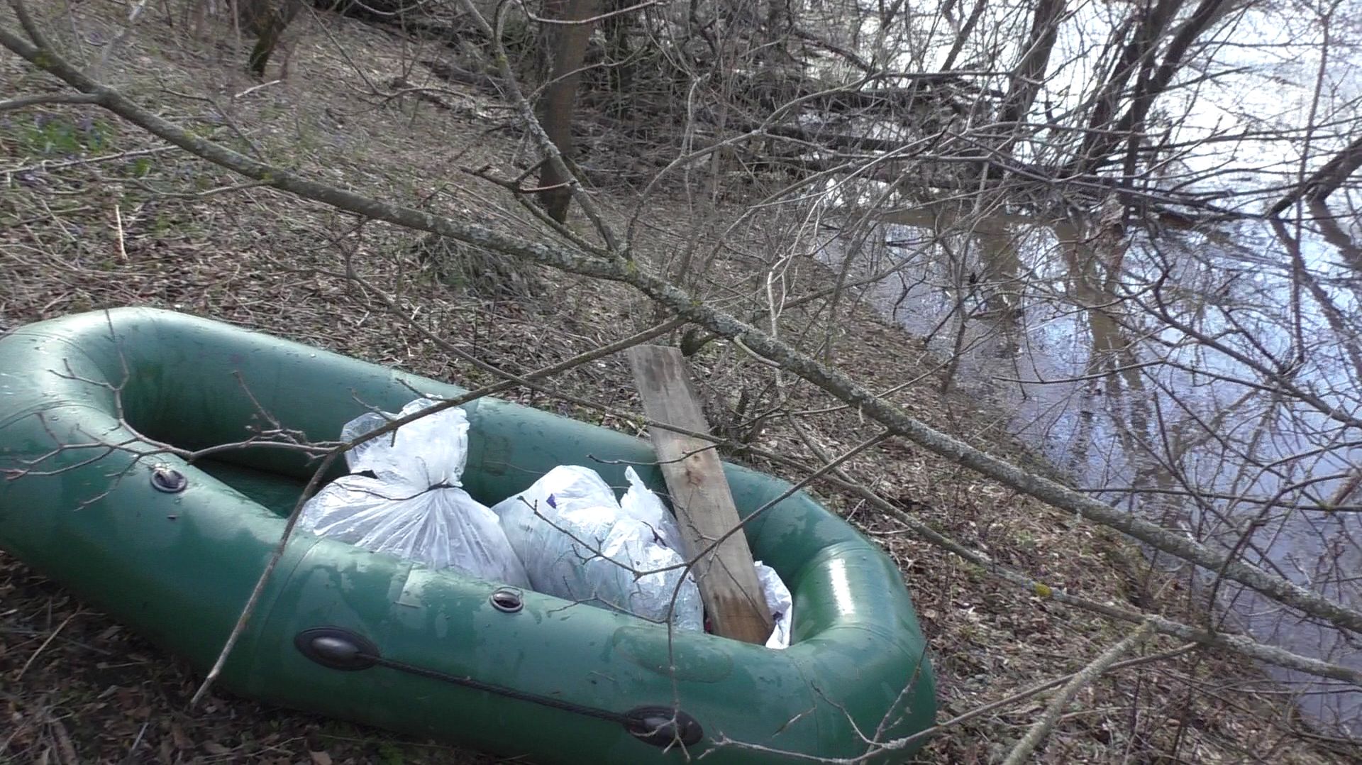 ЯСНЫЕ УПЫРИ.