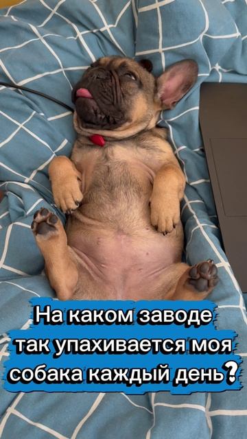 Внимание вопрос