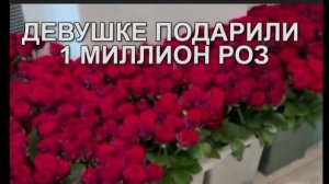 Девушке подарили   миллион роз