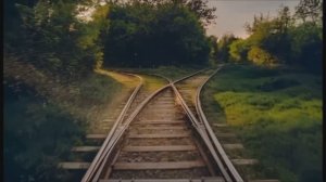 Весело тут - у нас...