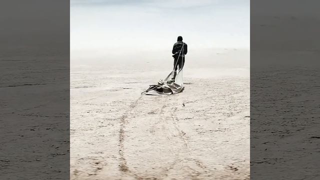 Одержимость золотом и жадность