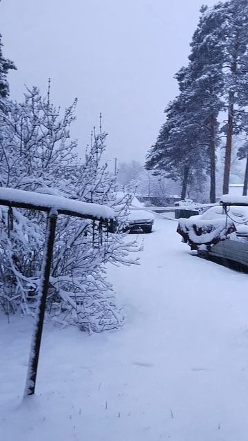 5ч.15 мин.Снег,снег выпал 20 апреля 2026года!!!Утро.