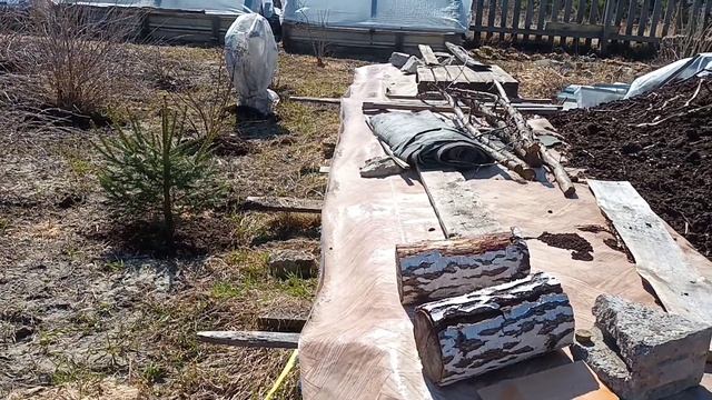 А что на даче???Розы...