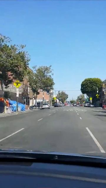 Прелести США