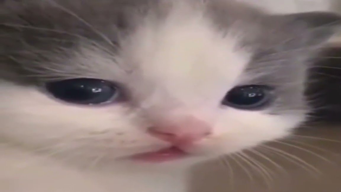 пародия на бравл старс