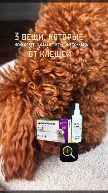 3 вещи для защиты от клещей