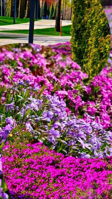 Привет Всем!