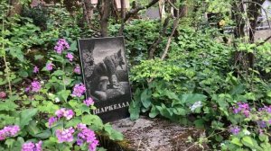 На кладбище (19.04.26)