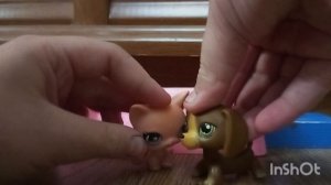 опенинг английского лпс сериала The life of savannah