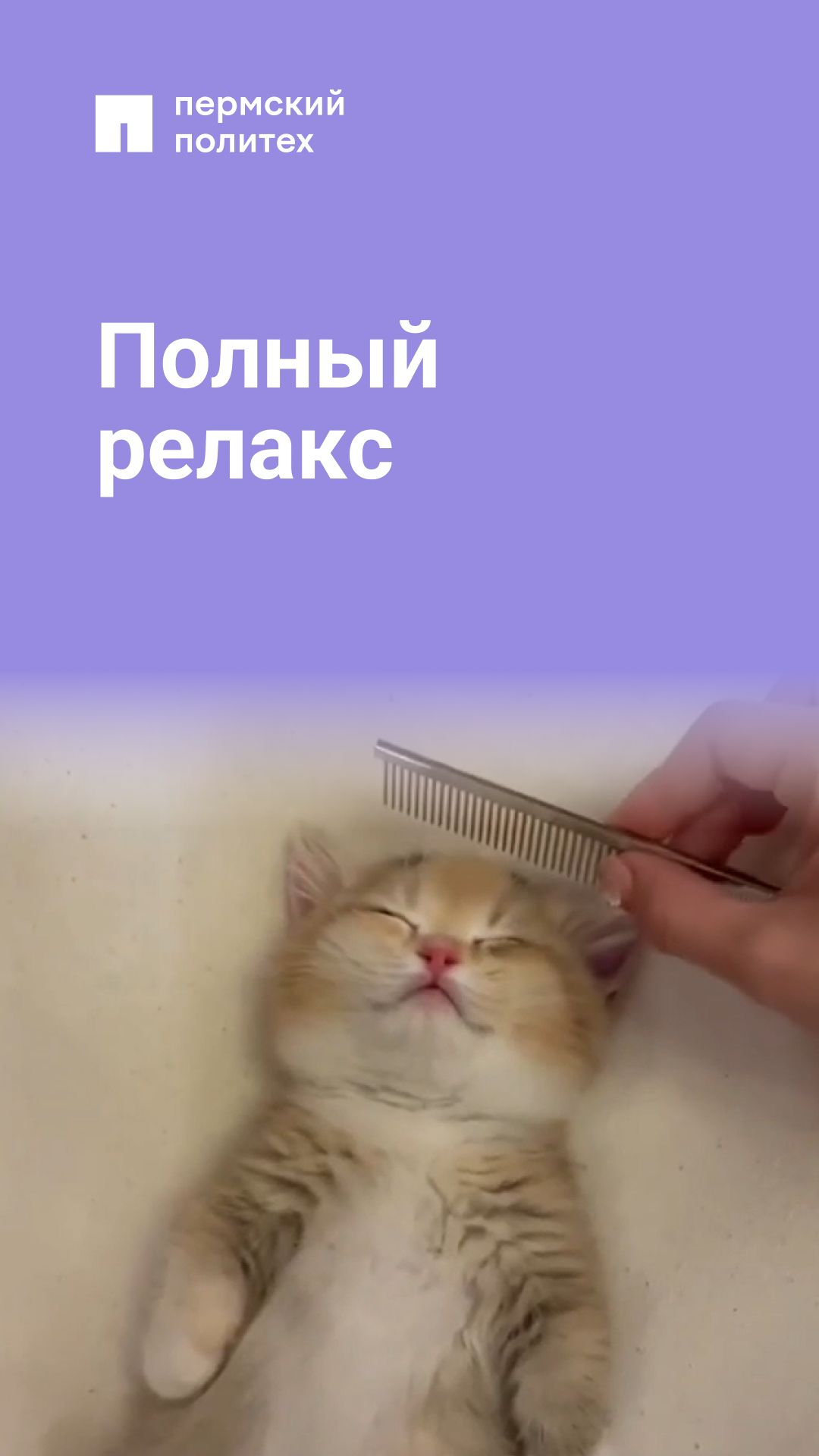 Просто ничего не делать