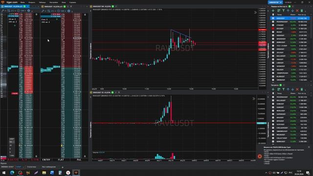 (24) 1_RAVE USDT_short