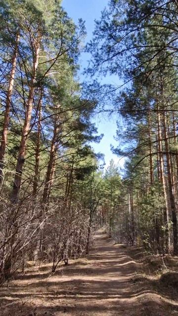 Чудесный денёк #Алтай #Белокуриха #прогулка