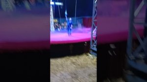 я впервые в цирке🎉