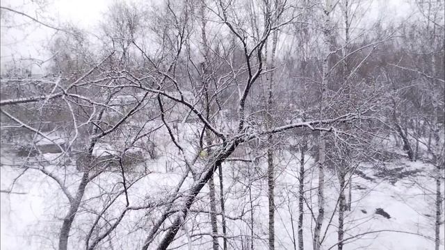 Вторая  апрельская зима наступила😉😄❄️❄️❄️   20.04.26😊✨