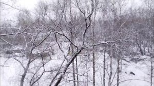 Вторая  апрельская зима наступила😉😄❄️❄️❄️   20.04.26😊✨