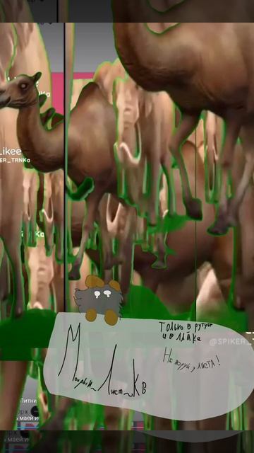 [☘️]- слінікі💔