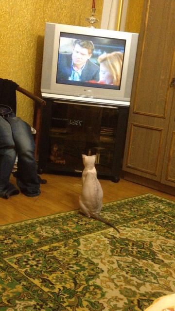 Сериал Кухня