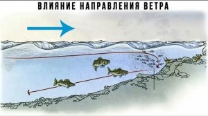 Влияние ветра на клёв рыбы.