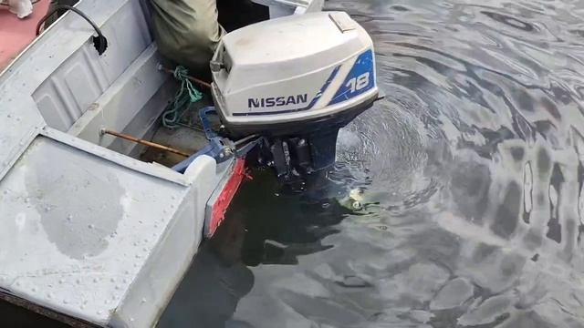 Лодочный мотор.mp4