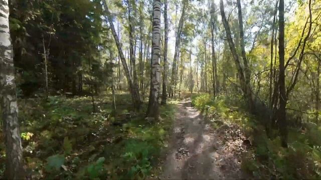 Поездка через Ботанический сад на берег Бердского залива, г. Новосибирск