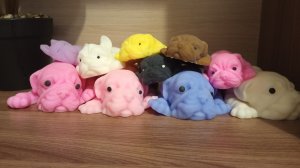 Влог с собачками 🐶