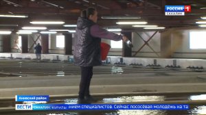 "Вести. Сахалин. Курилы". 17 апреля 2026 года