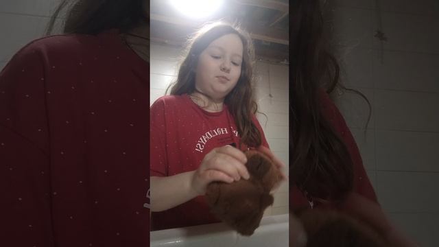 мою капибару