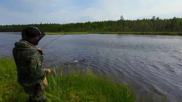 РЫБАЛКА НА СПИННИНГ. РЫБАЛКА НА УДОЧКУ. ЛЕТНЯЯ РЫБАЛКА. РЫБАЛКА С ЛОДКИ.