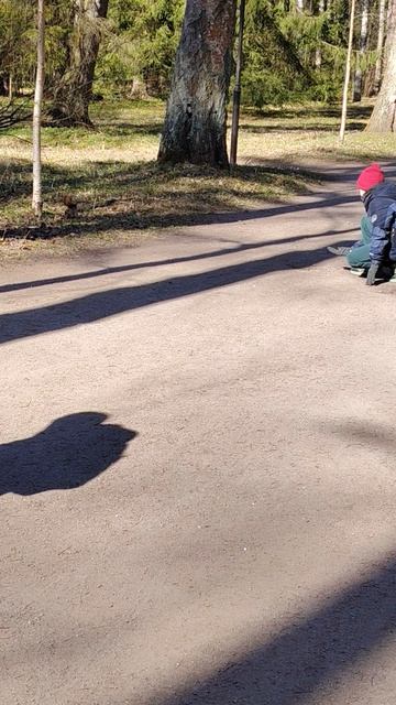 кормили белку, павловский парк.mp4